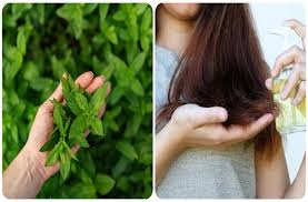 बालों को लंबा, घना और सिल्की बनाना चाहती हैं, तो आज ही अपनाएं ये सरल और घरेलु उपाय 