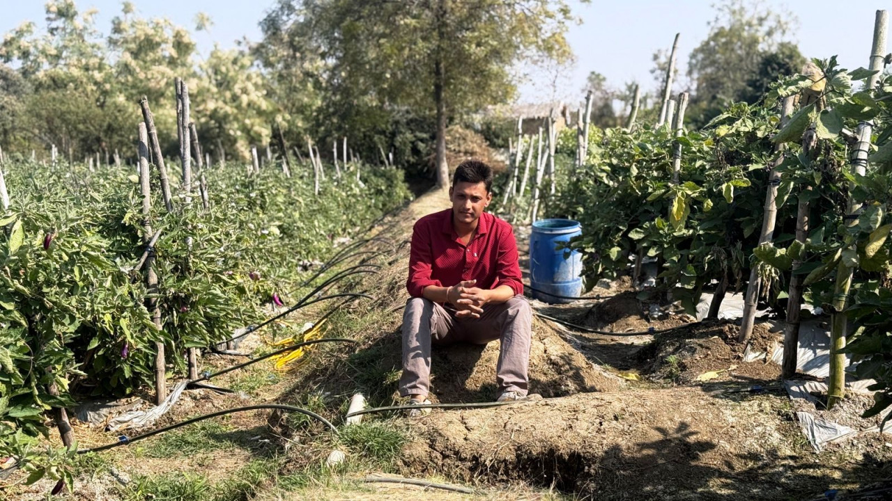 राष्ट्रीय बागवानी मिशन से बदली खेती की तस्वीर