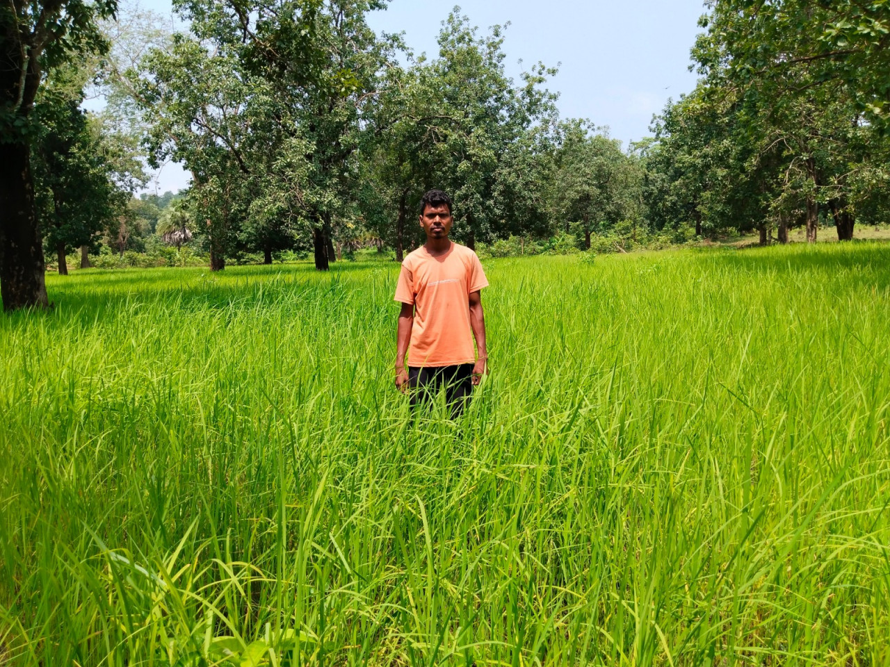भूमि रामतलीकरण से हेमला नंदा के जीवन में आई ख़ुशहाली