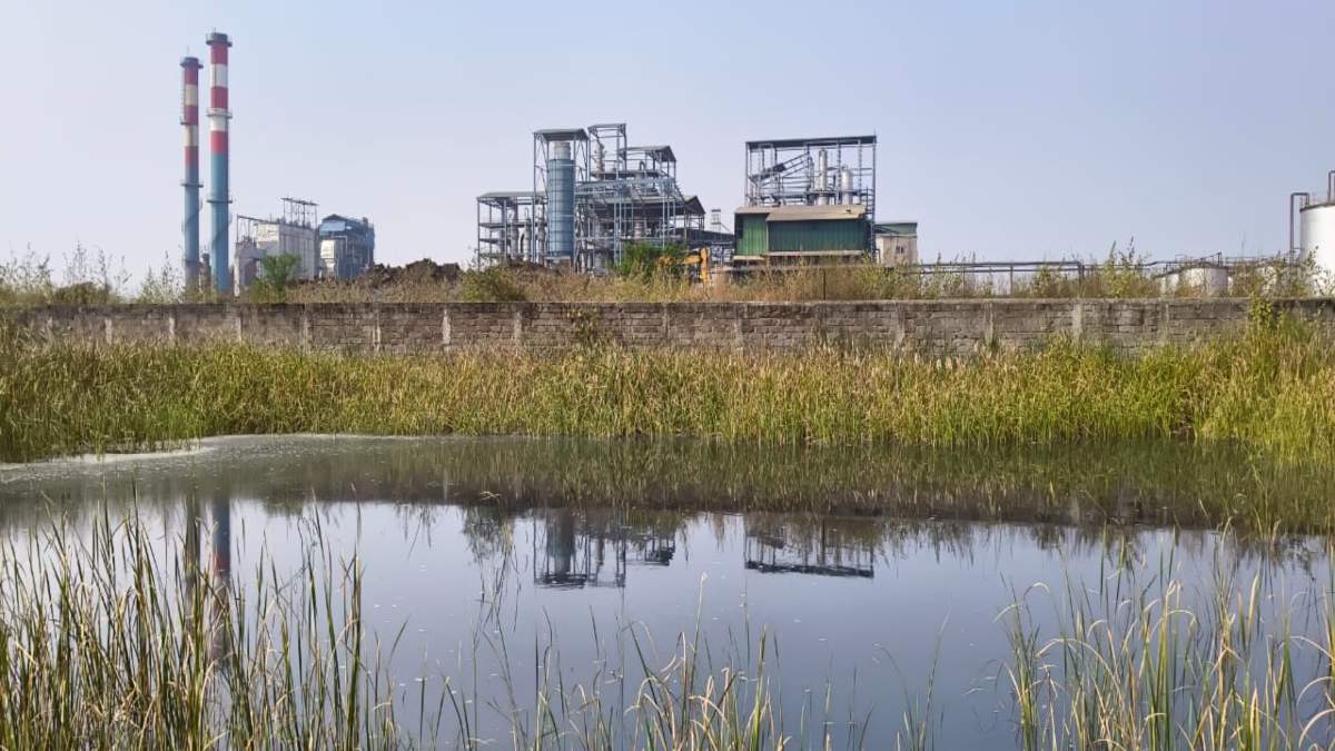 मोदी बायोटेक प्लांट बना पर्यावरण और किसानों के लिए खतरा, जहरीले पानी से खेत और मवेशी प्रभावित