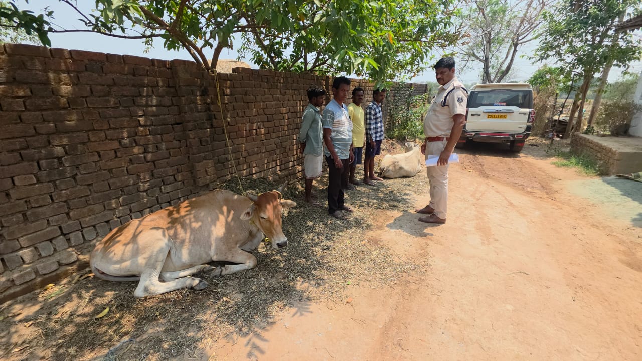 रायगढ़ में “ऑपरेशन शंखनाद” का बड़ा असर, गौ तस्करी की कोशिश नाकाम; स्कार्पियो छोड़ फरार हुए तस्कर