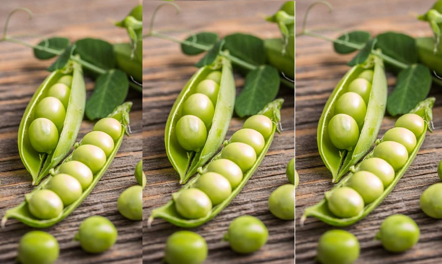 हल्की ठंड की दस्तक के साथ रायपुर में अब आने लगी मटर,लेकिन रेट सुनकर उड़ जाएंगे आपके होश