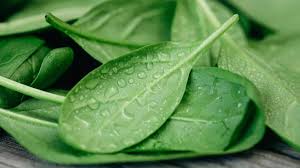 इन लोगों को भूलकर भी नहीं खाने चाहिए पालक,नही तों पड़ जायेंगे लेने के देने 