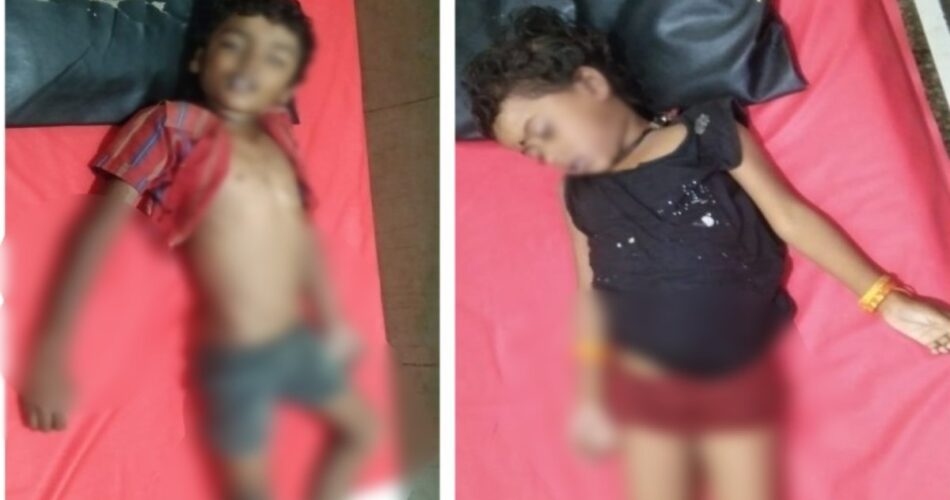 एक ही परिवार के दो मासूमों की तालाब में डूबने से मौत