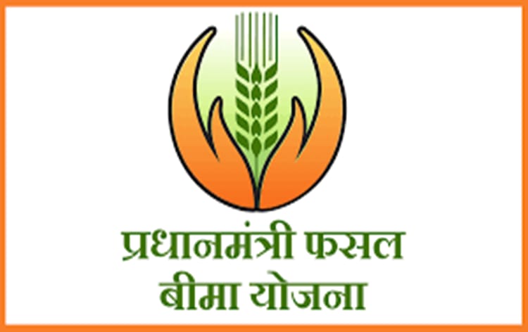खरीफ 2025 सीजन के लिए प्रधानमंत्री फसल बीमा योजना अंतर्गत बीमा कराने की अंतिम तिथि 31 जुलाई तक