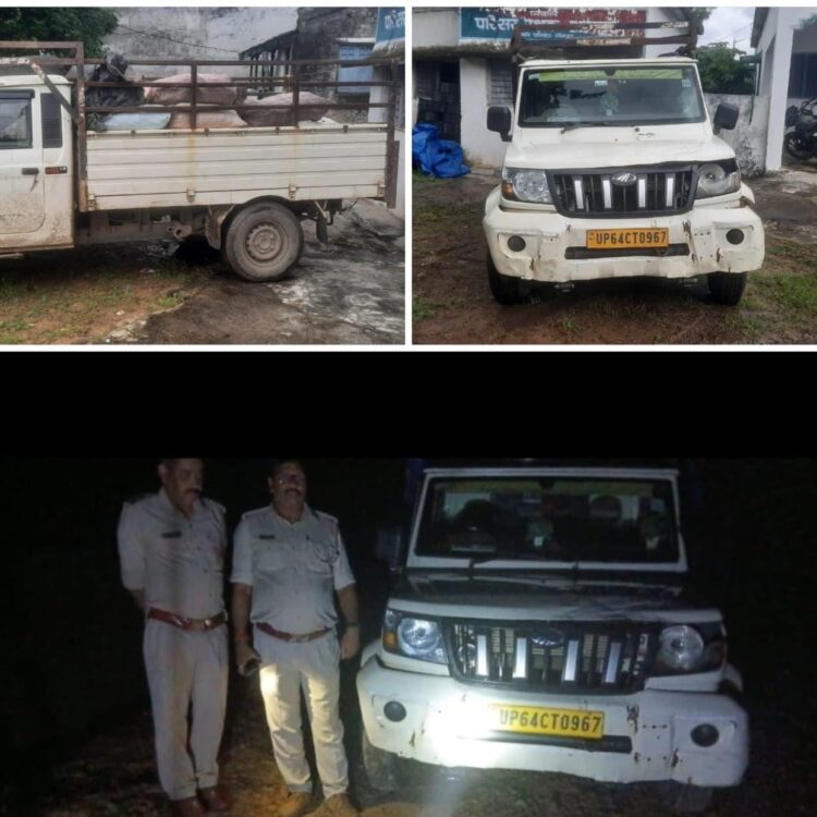 वन विभाग ने लौध छाल से लदे पिकअप वाहन को रोका, बड़ी कार्यवाही