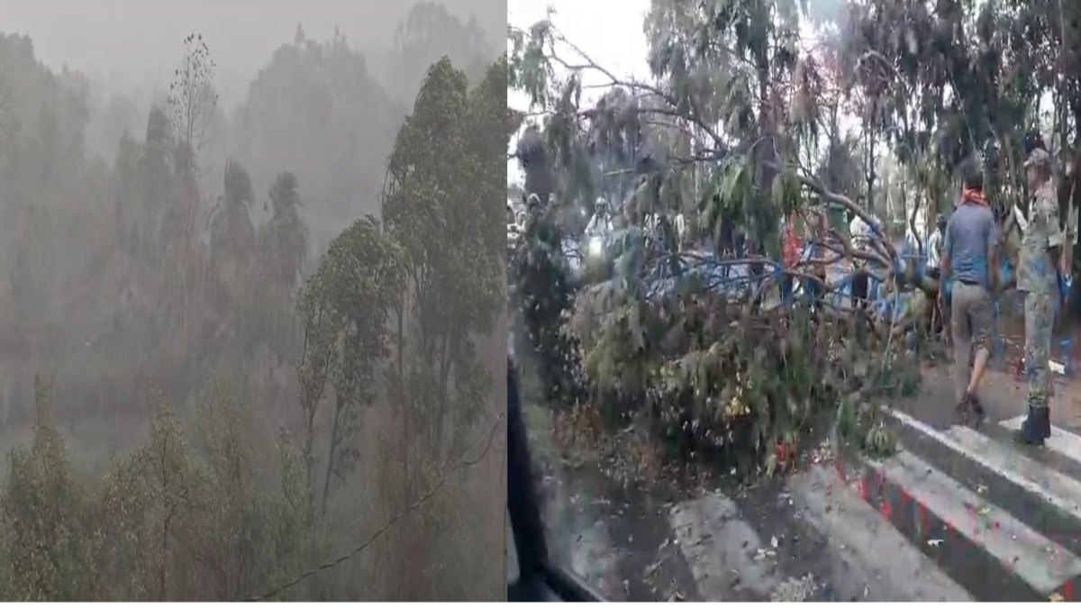 छत्तीसगढ़ में बदला मौसम का मिजाज: आंधी-तूफान के साथ झमाझम बारिश, गर्मी से राहत