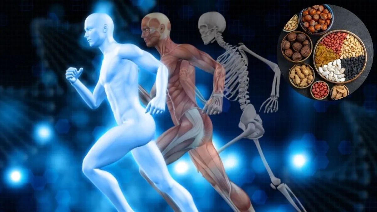 हड्डियों को बनाना है लोहे जैसा मजबूत? रोज खाएं ये 5 ड्राई फ्रूट्स, कैल्शियम की कमी होगी दूर