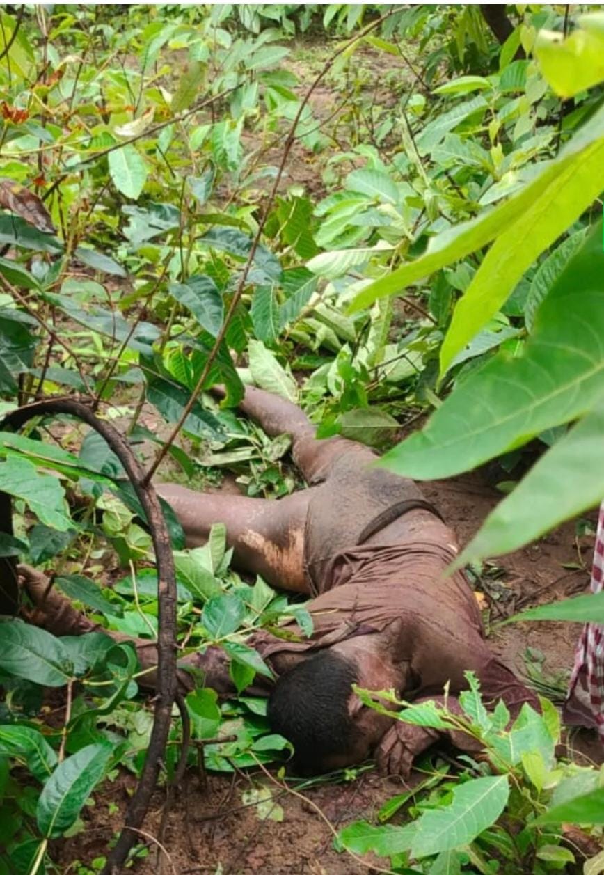 मादा और शावक कोहराम जारी … दोनों ने मिलकर आज एक और ग्रामीण की ली जान 