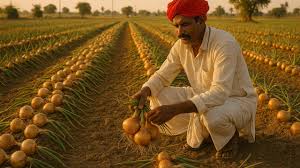 प्याज की ये तीन किस्में देंगी 31 टन प्रति हेक्टेयर पैदावार,किसानों को होगा तगड़ा मुनाफा 