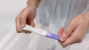 Ovulation Period:महीने के इन दिनों में होते हैं प्रेग्नेंसी के सबसे ज्यादा चांस 
