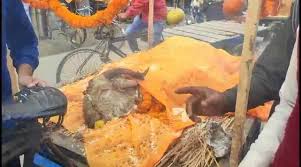 बकरे के निधन पर रोया पूरा गांव,निकाली शव यात्रा,किया अंतिम संस्कार...