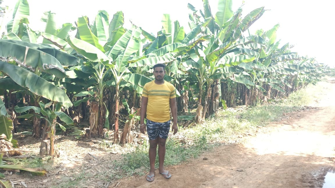 फसल बदली, बदली किस्मत...किसान की लाखों में कमाई