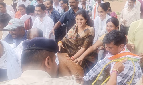 कांग्रेसजनों ने की गौ माता सत्याग्रह, तहसील कार्यालय में जोर-शोर से किया प्रदर्शन 
