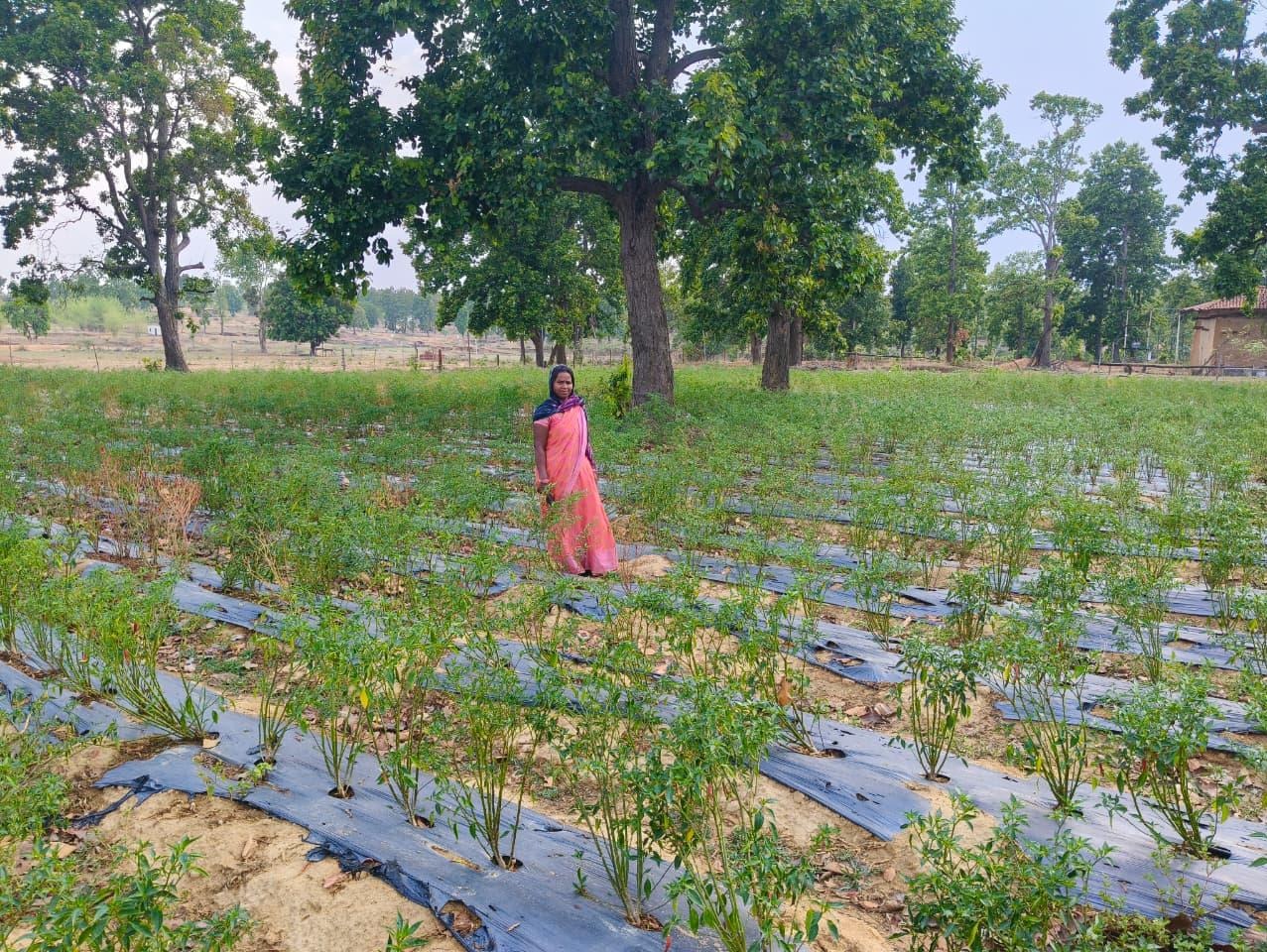 लखपति दीदी अभियान से बदल रही गांवों की तस्वीर