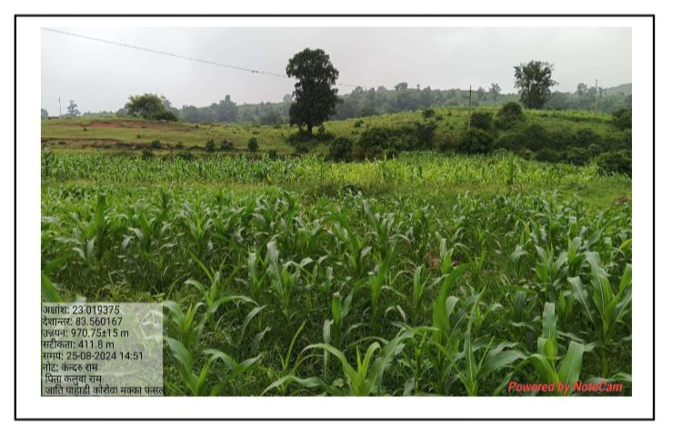 ग्रामीणों को रोजगार के साथ मिली सिंचाई की सुविधा
