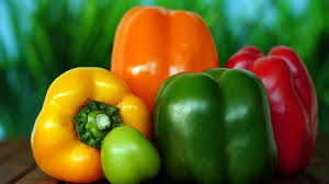 ऑफ-सीजन सब्जियों की खेती करके किसान कमा रहे अच्छा खासा मुनाफा 