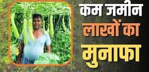 किसान हो तो ऐसा,कम जमीन, फसलें अनेक, मुनाफा लाखों