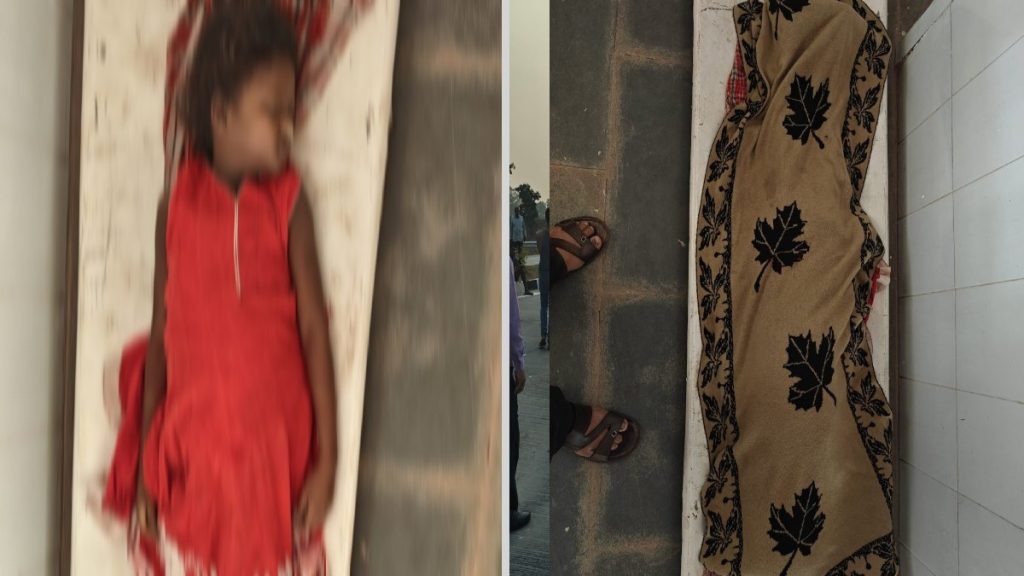  दर्दनाक हादसा: सोते समय जहरीले सांप ने डसा, नानी और 8 साल की नातिन की मौत