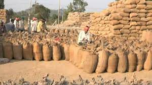 छत्तीसगढ़ में टूटा धान खरीदी का रिकॉर्ड, मोदी की गारंटी से किसानों के चेहरे में आई खुशहाली