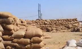 बिलासपुर : धान खरीदी में एक और बड़ा घोटाला, 2000 क्विंटल से ज्यादा धान गायब