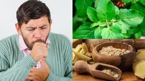 सर्दी, खांसी और जुकाम की समस्या है तों अपनाए ये घरेलु नुस्खे