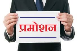 सीजी प्रमोशन ब्रेकिंग : 2900 प्राचार्यों के प्रमोशन की प्रक्रिया शुरू, जल्द जारी होगा आदेश