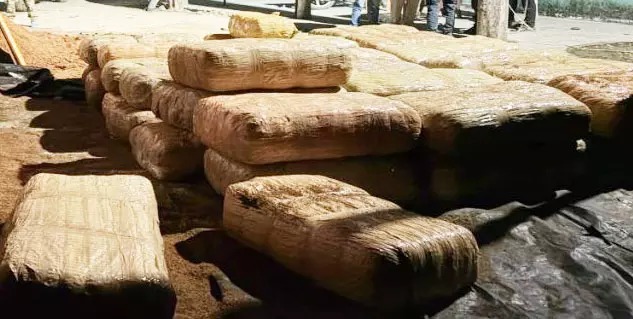 छत्तीसगढ़ पुलिस की बड़ी कार्रवाई,6 करोड़ का गांजा जब्त 