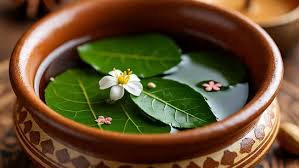 यूरिक को कंट्रोल करने के लिए पान का पत्ता बेहद फायदेमंद,जानें इस्तेमाल करने का आसान तरीका 