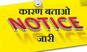 बीईओ ने किया औचक निरीक्षण, 29 शिक्षकों को कारण बताओ नोटिस जारी..