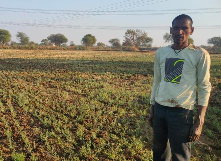 चना की फसल लेने से कम लागत में अधिक फायदा ले रहे किसान