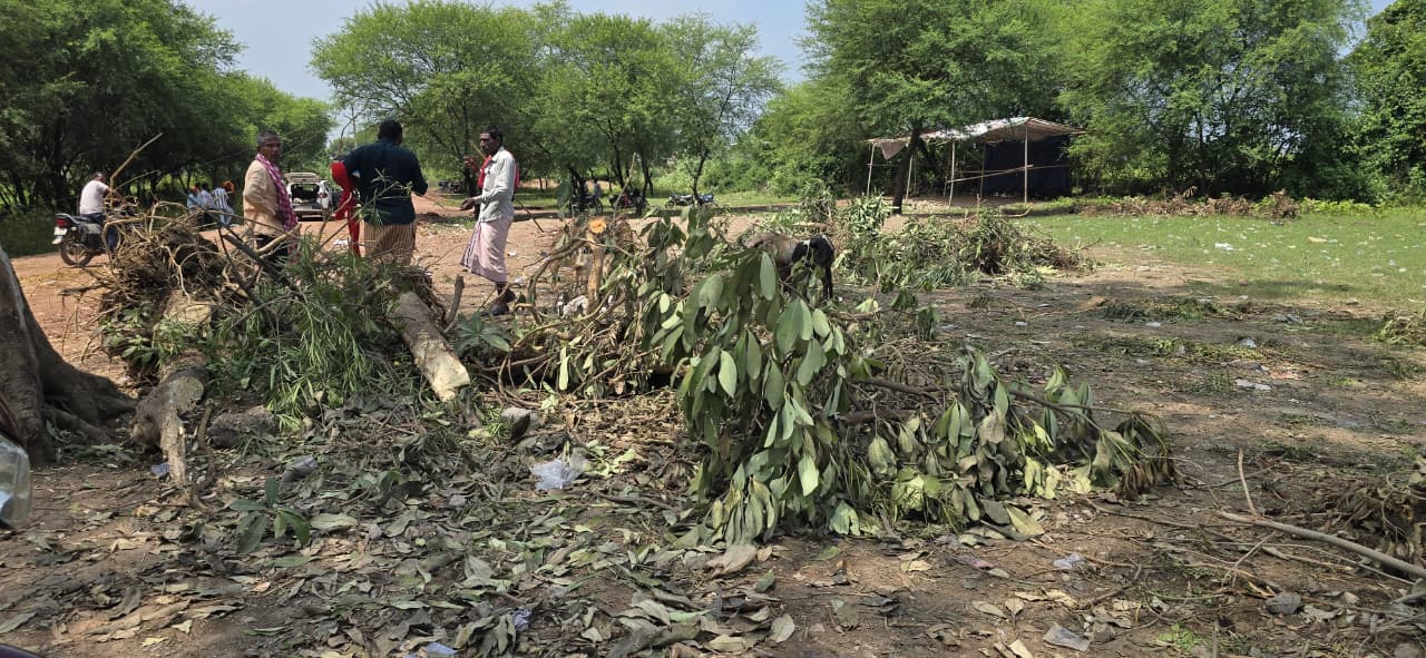 गौरव पथ निर्माण कार्य में दर्जनों पुराने पेड़ों की कटाई से नगरवासियों में भारी नाराजगी