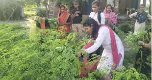 Women Success Story: महिलाएं सुपरफूड मोरिंगा से बन गई लखपति, साल भर की कमाई जान रह जाएंगे दंग