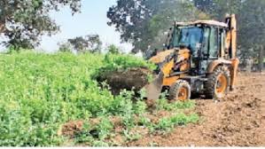 अवैध अफीम की खेती के खिलाफ बड़ी कार्रवाई,BJP नेता सहित तीन गिरफ्तार