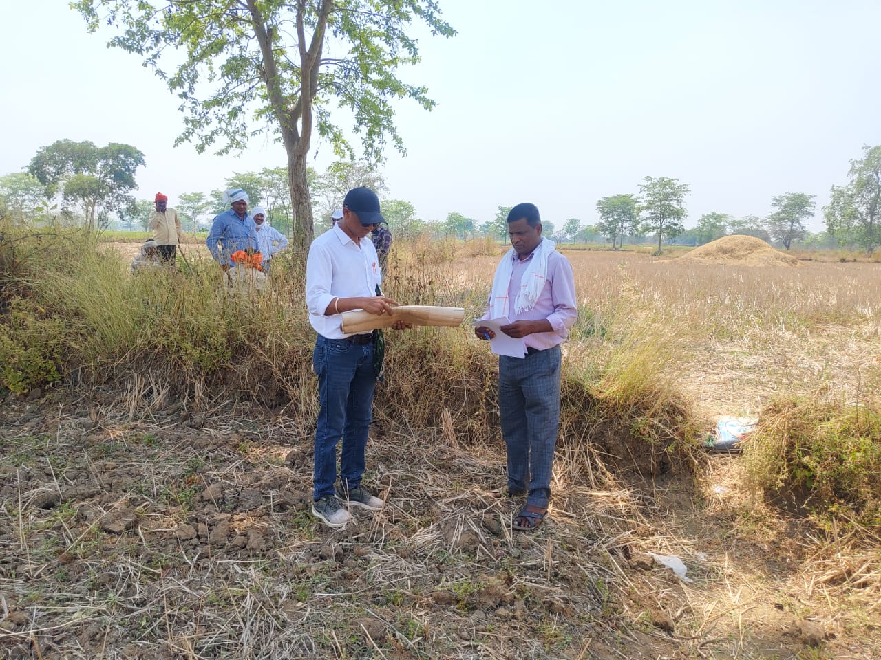 बिना ऑनलाइन नक्शा बटांकन अब नहीं होगा जमीन का पंजीयन, कलेक्टर अबिनाश मिश्रा का सख्त फैसला