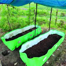 सरकार की सौगात: किसानों को मुफ्त वर्मी बेड, ऐसे उठाएं लाभ