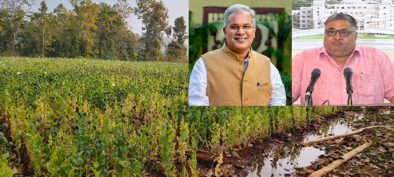 अफीम पर सियासत:भूपेश बोले पूरी भाजपा नशे के कारोबार में लिप्त, मंत्री अग्रवाल बोले – आरोपियों के खिलाफ लगातार हो रही कार्रवाई