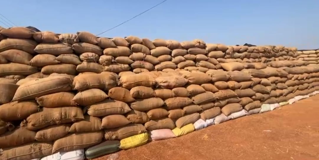 सेवा सहकारी समिति झुरानंदी में धान जाम से हालात बिगड़े, नियमों के तहत उठाव नहीं होने से किसान परेशान