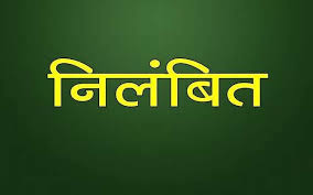 गंभीर अनियमितताओं और कर्तव्य में लापरवाही के चलते जिला कार्यक्रम अधिकारी निलंबित