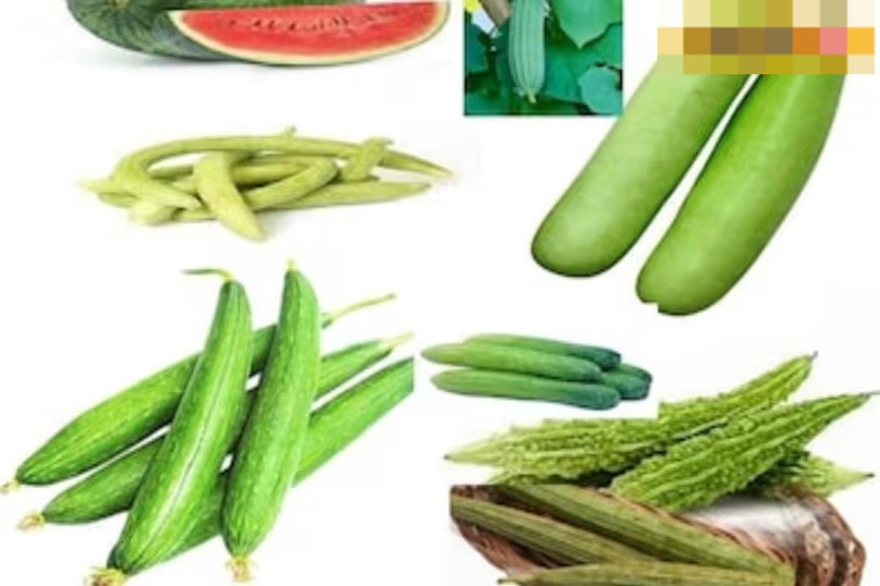 जनवरी अंत में बोएं ये फसलें, छप्परफाड़ होगी कमाई