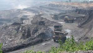 पांच हजार हेक्टेयर जंगल होंगे बर्बाद रायगढ़ जिले में कोयला खदानों के लिए