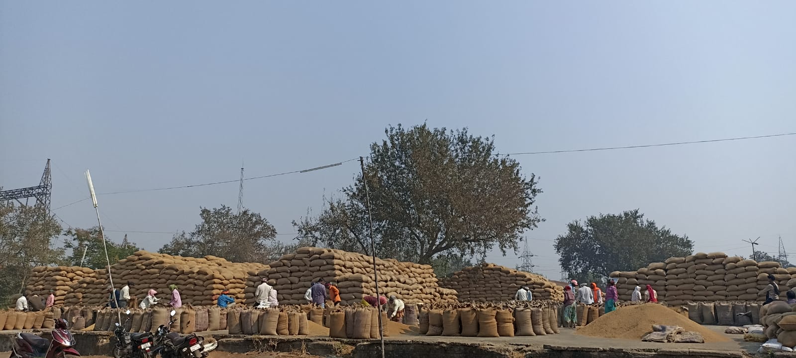 धान उठाव की धीमी गति से केंद्रों पर बड़ी मात्रा में जाम की स्थिति