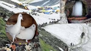 अमरत्व का प्रतीक है कबूतरों का जोड़ा,हर किसी को नहीं दिखता..जानें पौराणिक कथा