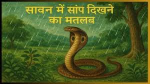 सावन माह में सांप देखने का क्या होता है मतलब,जानिए 