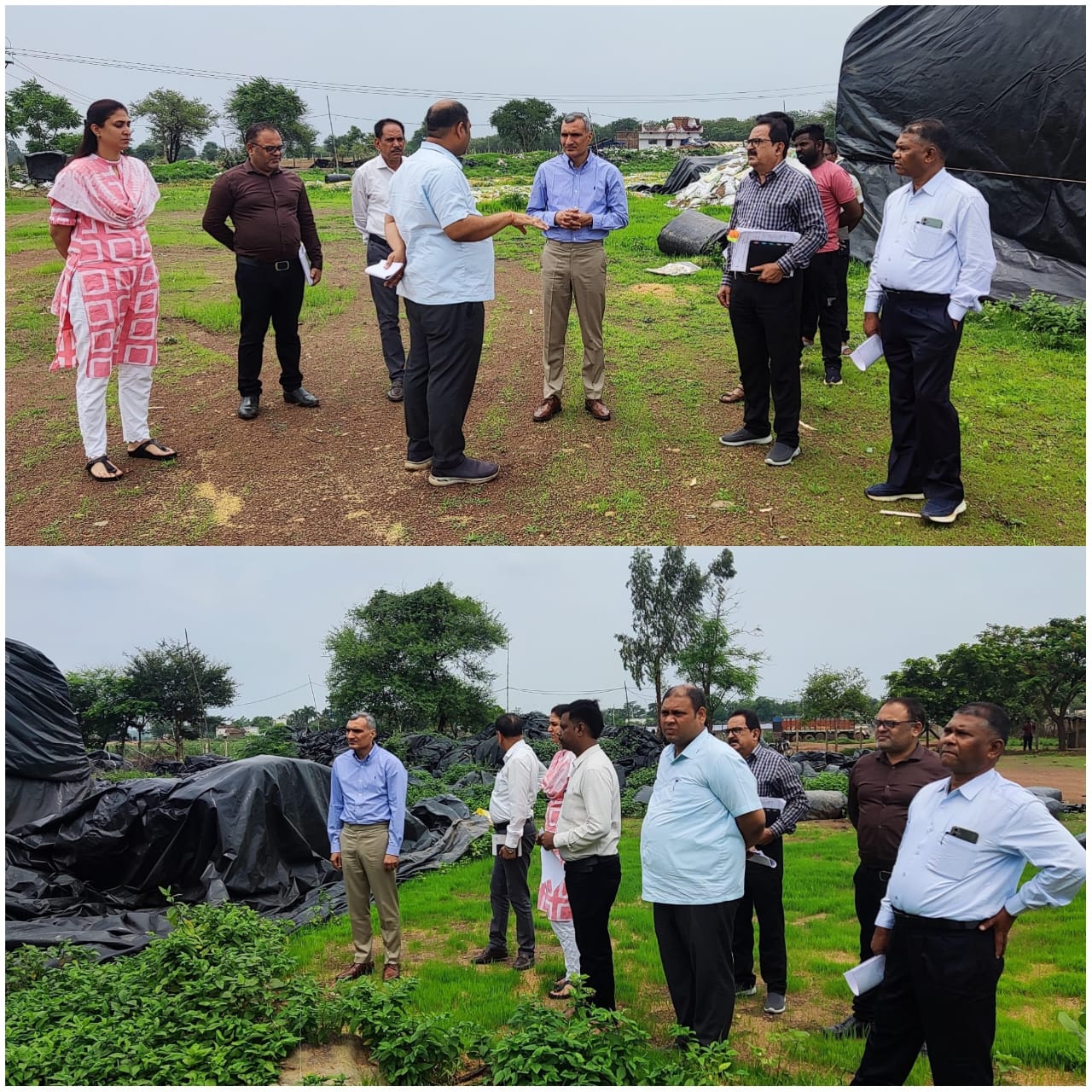 कलेक्टर ने किया सरदा धान संग्रहण केंद्र का निरीक्षण, धान के सुरक्षित भंडारण हेतु दिए निर्देश