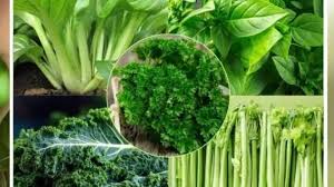 खेत नही घर पर ही उगाएं ये ताज़ी सब्ज़ियां,जानें टिप्स 