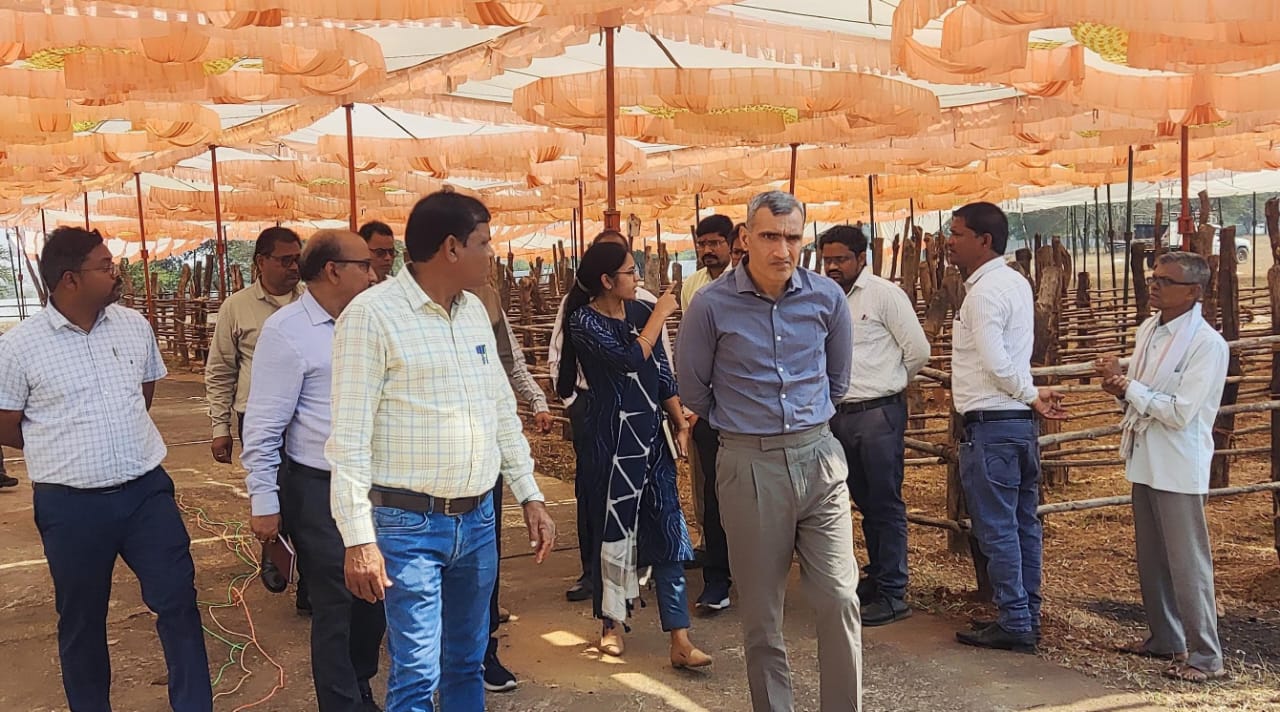 कलेक्टर रणबीर शर्मा ने किया साजा जनपद के स्ट्रॉन्ग रूम का निरीक्षण, निर्वाचन तैयारियों का लिया जायजा
