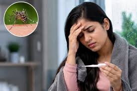  मानसून में बढ़ा मलेरिया का खतरा, इन 5 लक्षणों को भूलकर भी न करें नजरअंदाज
