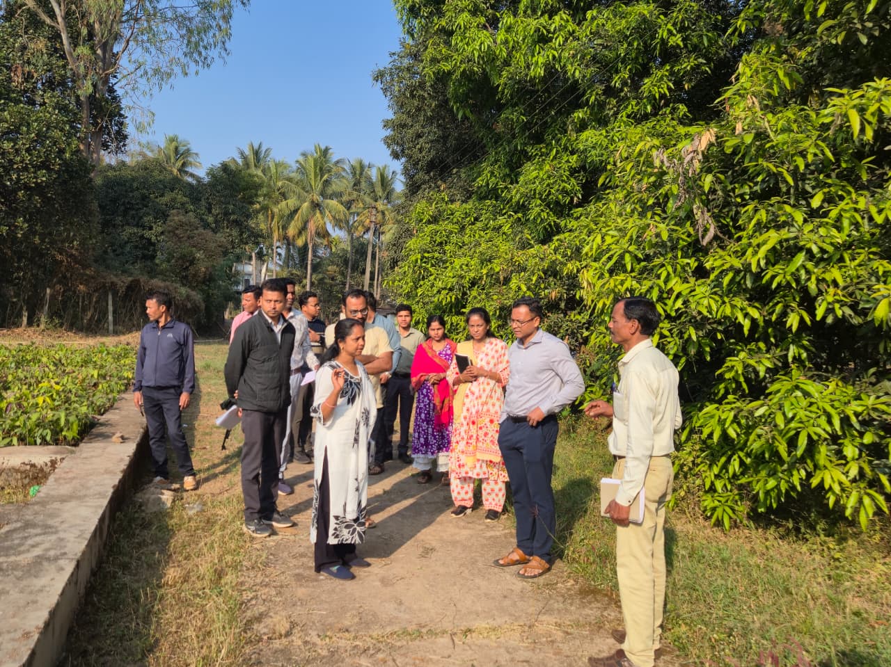 कलेक्टर ने किरंदुल नर्सरी का किया निरीक्षण, आय सृजन केंद्र बनाने के दिए निर्देश