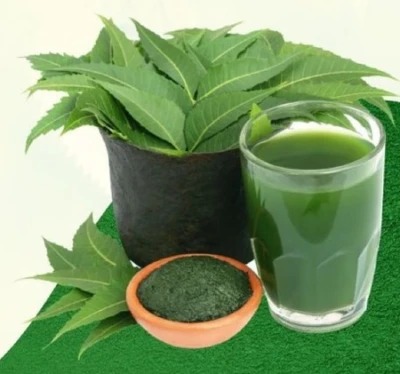 कड़वाहट में छुपा सेहत का राज: लिवर के लिए ‘सुरक्षा कवच’ है नीम